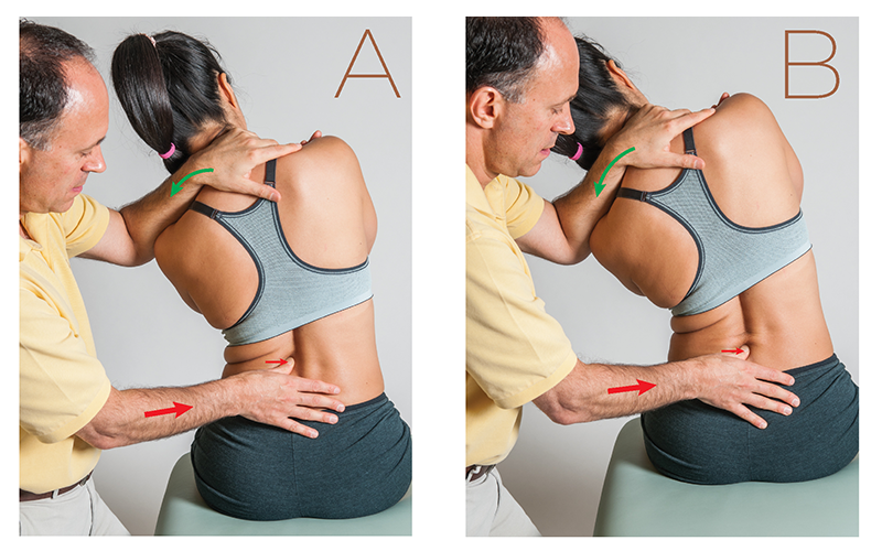 AUT_26_TissueTension_Sidebar_800 AUT_26_TissueTension_Sidebar_800