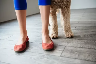 A pair of human feet stand next to a set of dog feet.