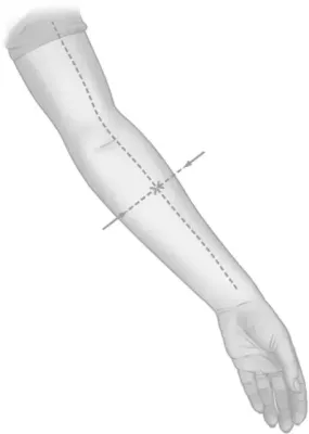 drawing with intersecting lines of where a pressure point on the arm is located.