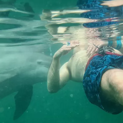 dolphin working with a client in the water in the Bahamas