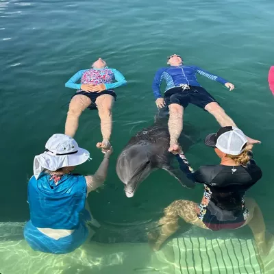 dolphin-assisted therapy in a ocean pool with two therapists and two clients.