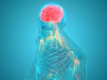 An illustration provides a see-through image of the torso and brain, with some nerves and the brain highlighted.