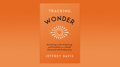 Cover image of author Jeffrey Davisâ€™s book Tracking Wonder.
