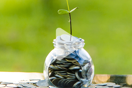 A green seedling growing up out of a jar of change