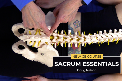 Doug Nelson points to an area in the sacrum.